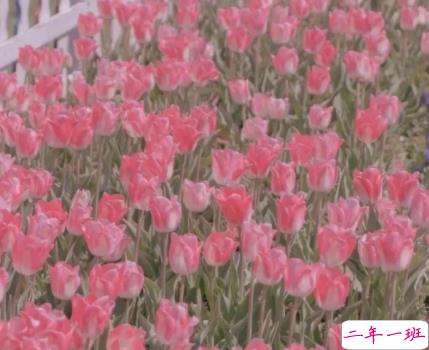 逗人开心高情商的撩人语录 逗比开心风趣的话2