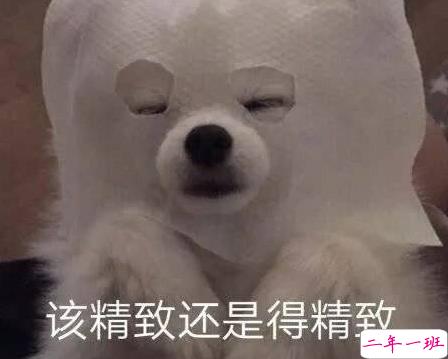 巧妙回复对象不回消息文案 很俏皮的表达对象不回消息的说说1