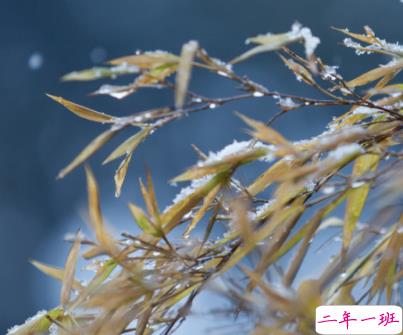 小雪节气发朋友圈的句子 2021小雪节气的暖心朋友圈1