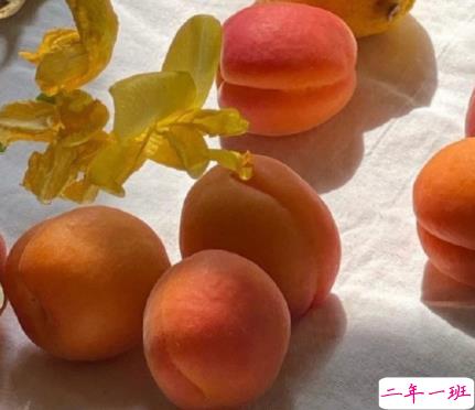 表达自己暗恋结束了的句子 告别自己暗恋的人的朋友圈1