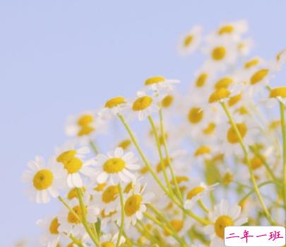 生活温柔又闪亮的句子 超级温柔的生活短句1