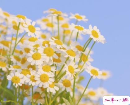 生活温柔又闪亮的句子 超级温柔的生活短句2