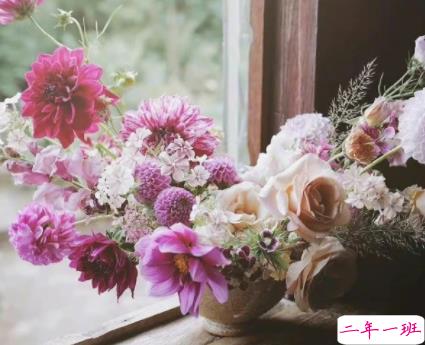 很美又很适合发朋友圈的短句带图片 隐藏野心悄悄发光6