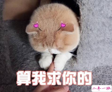 最新版给你带来欢乐搞笑说说带图片 我们走得太快灵魂都跟不上了7