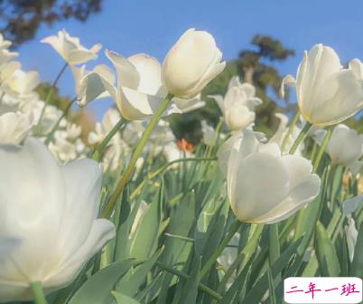 第一次谈恋爱的心情说说 第一次恋爱的开心语录1