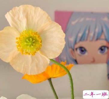 珍惜婚姻珍惜家庭的句子 珍惜婚姻不易的文案1