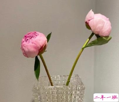 珍惜婚姻珍惜家庭的句子 珍惜婚姻不易的文案2