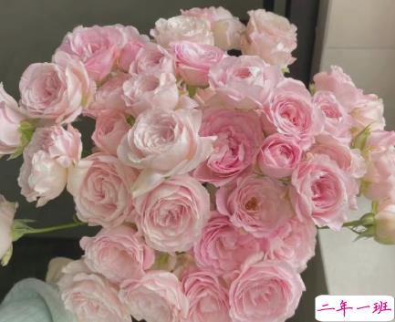 2022情人节感人的告白说说 情人节的跟对象暖心表白文案2