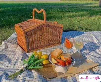 2022适合春季野餐发朋友圈的文案 野餐发朋友圈的唯美短句2