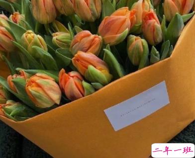 想割双眼皮的搞笑说说 割双眼皮发的搞笑文案2