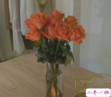 2022最新版甜甜的官宣恋爱文案带图片 两个成年人的重要决定12