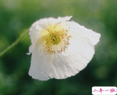 2022最新版甜甜的官宣恋爱文案带图片 两个成年人的重要决定15