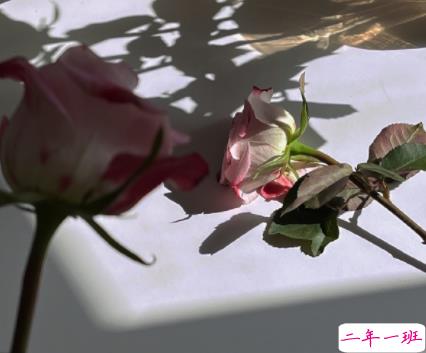 能够把人看抑郁的文案 把人看哭了的难过句子1