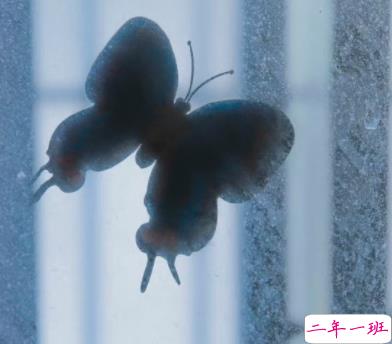 能够把人看抑郁的文案 把人看哭了的难过句子2