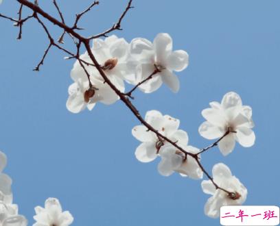 男朋友对自己忽冷忽热的心情说说 感觉男朋友对我冷淡了的说说1