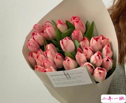 关于心很累的说说最新版 心很累的心情短句1