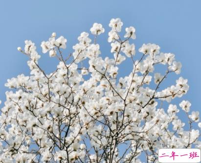 男朋友对自己忽冷忽热的心情说说 感觉男朋友对我冷淡了的说说2