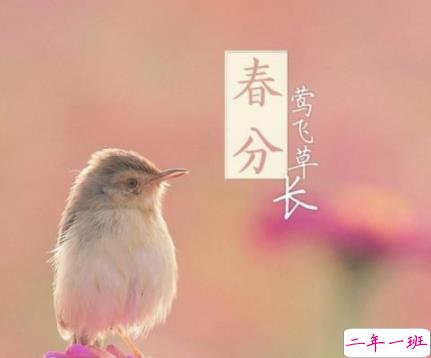 春分节气发朋友圈的心情说说 精选春分好听的祝福语2