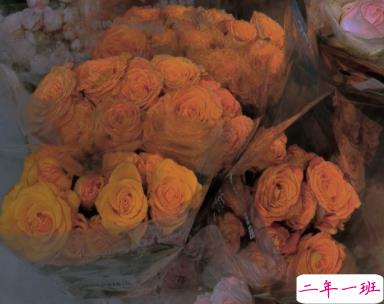 关于遗憾的走心文案带图片 取消了置顶却发现你排在了最后3