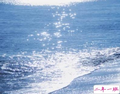 关于遗憾的走心文案带图片 取消了置顶却发现你排在了最后4