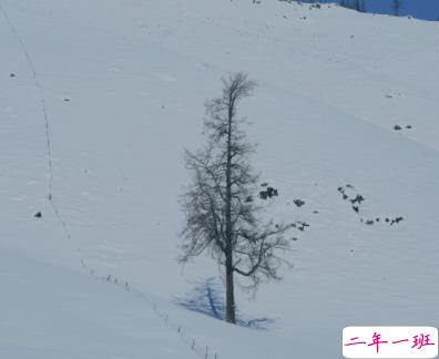 关于遗憾的走心文案带图片 取消了置顶却发现你排在了最后10