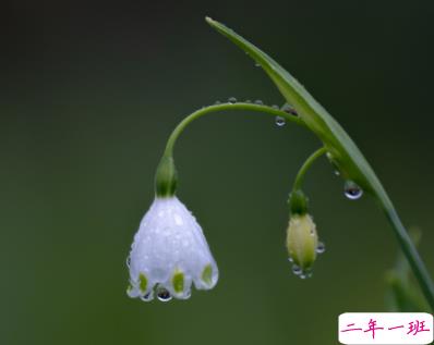 关于遗憾的走心文案带图片 取消了置顶却发现你排在了最后14