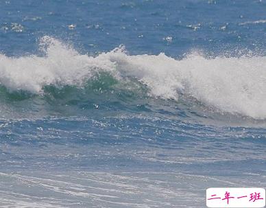 关于遗憾的走心文案带图片 取消了置顶却发现你排在了最后15