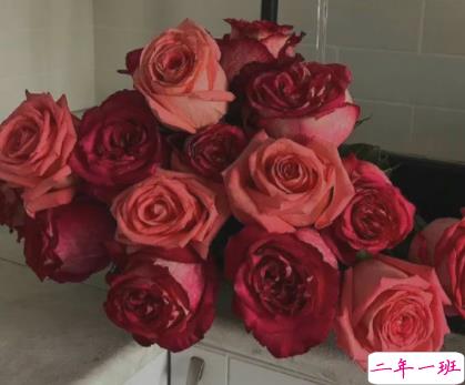 写到心坎的精美短句子 句句说到心坎上的文案2