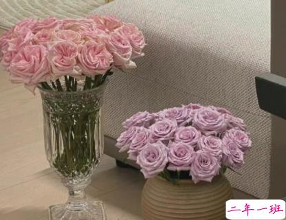 很高级的无风格的个性文案 旷野是春日阳光赠予世间的吻1