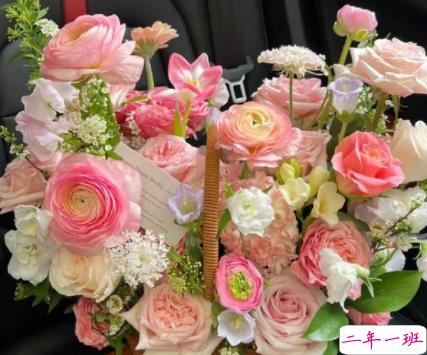 很高级的无风格的个性文案 旷野是春日阳光赠予世间的吻2