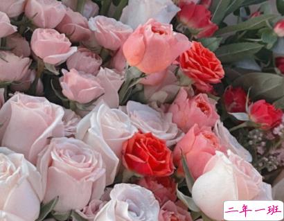 2022超级宠溺写给对象的早安语录 我对世界说早安唯独对你说喜欢5