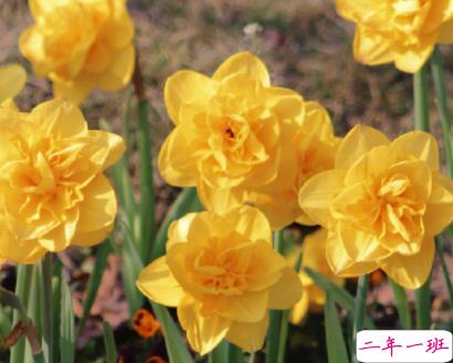 2022超级宠溺写给对象的早安语录 我对世界说早安唯独对你说喜欢11