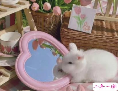 2022超级宠溺写给对象的早安语录 我对世界说早安唯独对你说喜欢13