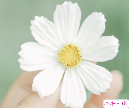 2022全新很火的一句话 很精辟的又很火的语录1