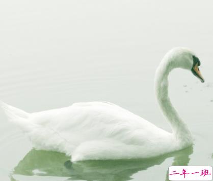 2022全新很火的一句话 很精辟的又很火的语录2