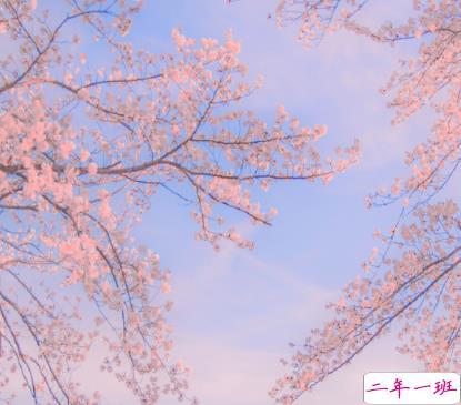 公布恋情不明显的文案最新 很甜蜜的公布爱情的语录2