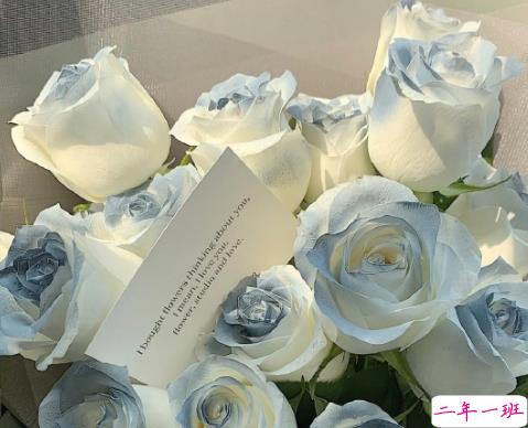 女人一定要独立的说说 要做独立的女人说说1