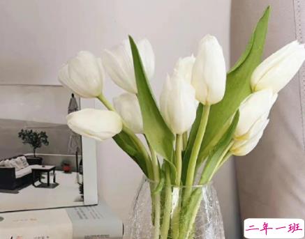 创业压力很大的朋友圈短句 创业路上很难很艰辛的句子1