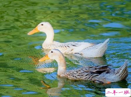 天气终于出伏了心情说说 出伏后凉快的文案2