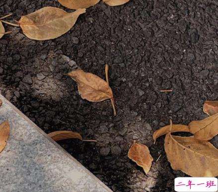 怀孕长妊振纹的心酸句子 有关妊娠纹的心情说说2