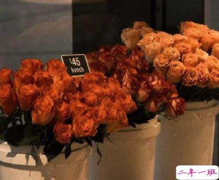 单亲妈妈不容易的心情说说 单亲妈妈的正能量句子1