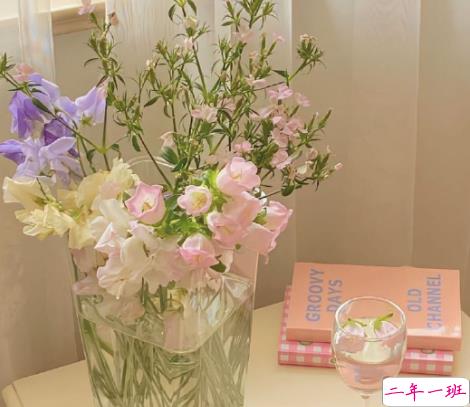 简单却又不失惊艳的说说带图片 简单又很文艺的文案配图3