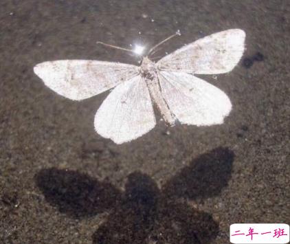 八月再见九月你好朋友圈说说 允许一些错过迎接对的相遇5