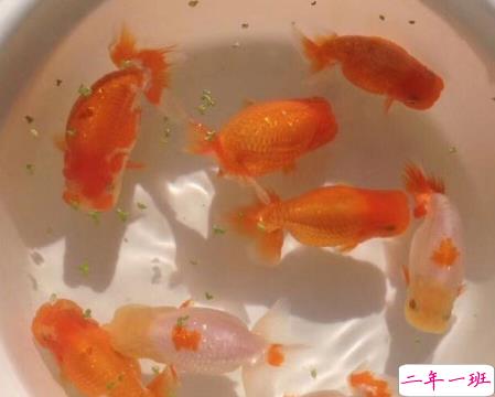 八月再见九月你好朋友圈说说 允许一些错过迎接对的相遇9