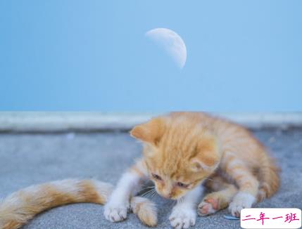 八月再见九月你好朋友圈说说 允许一些错过迎接对的相遇15