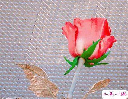 朋友圈有个性的说说高逼格 别丢掉了你该有的快乐14