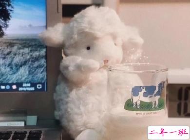 用来表达爱情的诗句 诗意且唯美的句子4