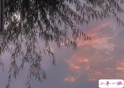 很酷很拽很有个性的签名 所有偷过的懒都会变成打脸的巴掌13