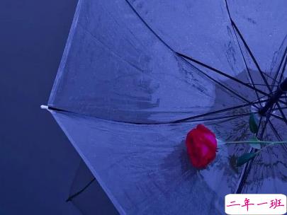 好心累的爱情说说带图片 心累想放弃的句子3