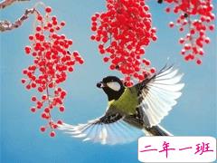 用来表达爱情的诗句 诗意且唯美的句子